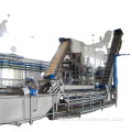 fruit vegetable washer cleaning machine